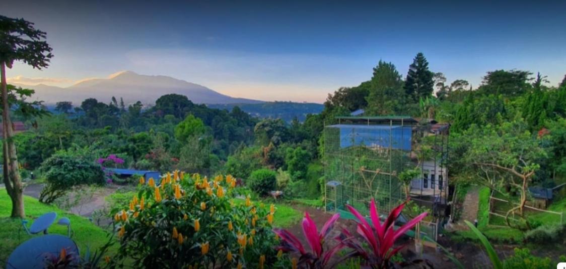 Villa Chacha At Macarena, Megamendung 외부 사진