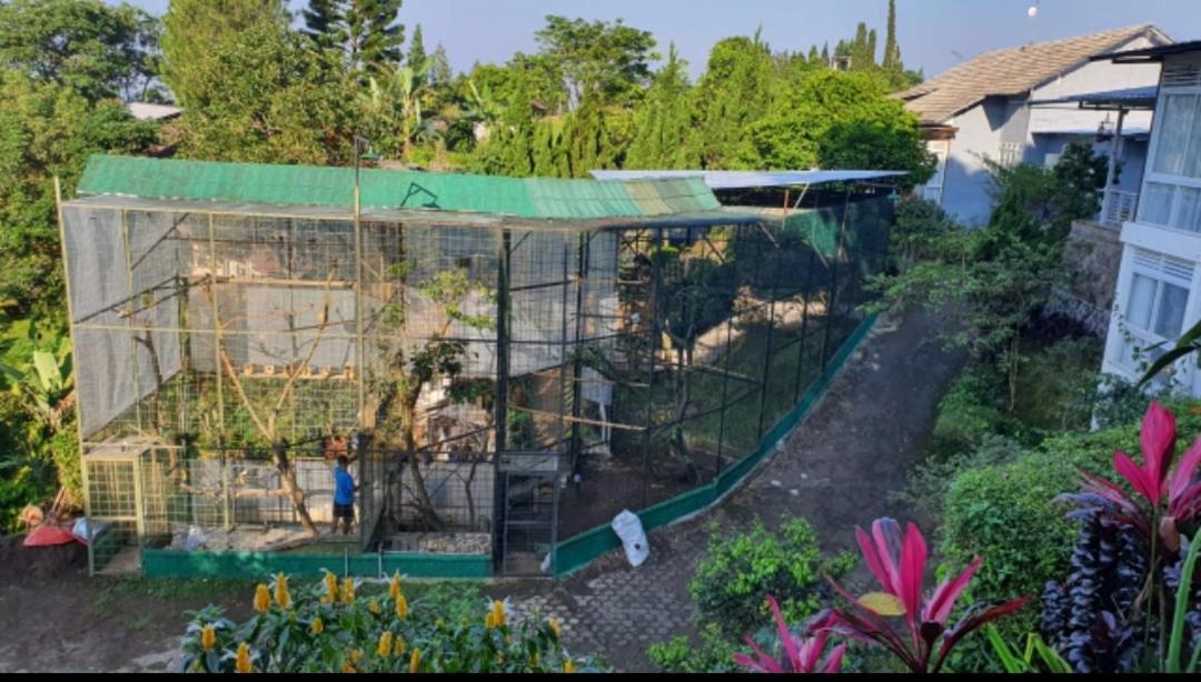 Villa Chacha At Macarena, Megamendung 외부 사진